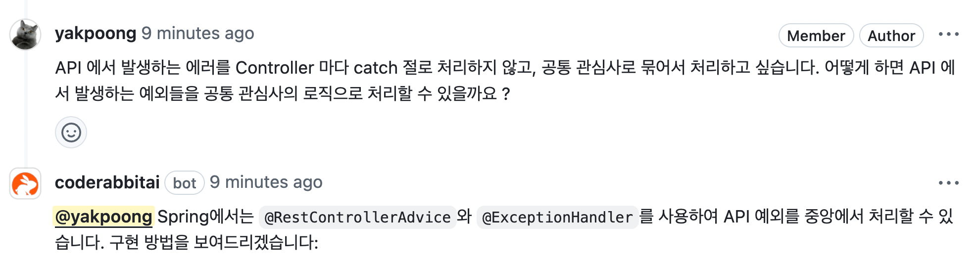 CodeRabbit에게 질문